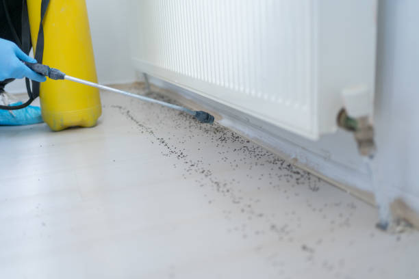 Best Mosquito Control Services  in Poland, OH