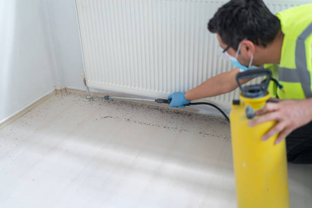 Best Pest Control Treatment  in Poland, OH