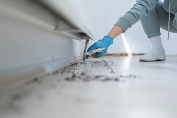 Best Spider Control Near Me  in Poland, OH